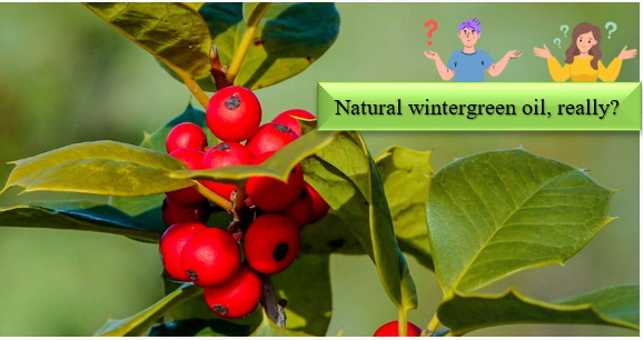 Olio di Wintergreen - Come si possono identificare e testare la naturalezza degli ingredienti sintetici?