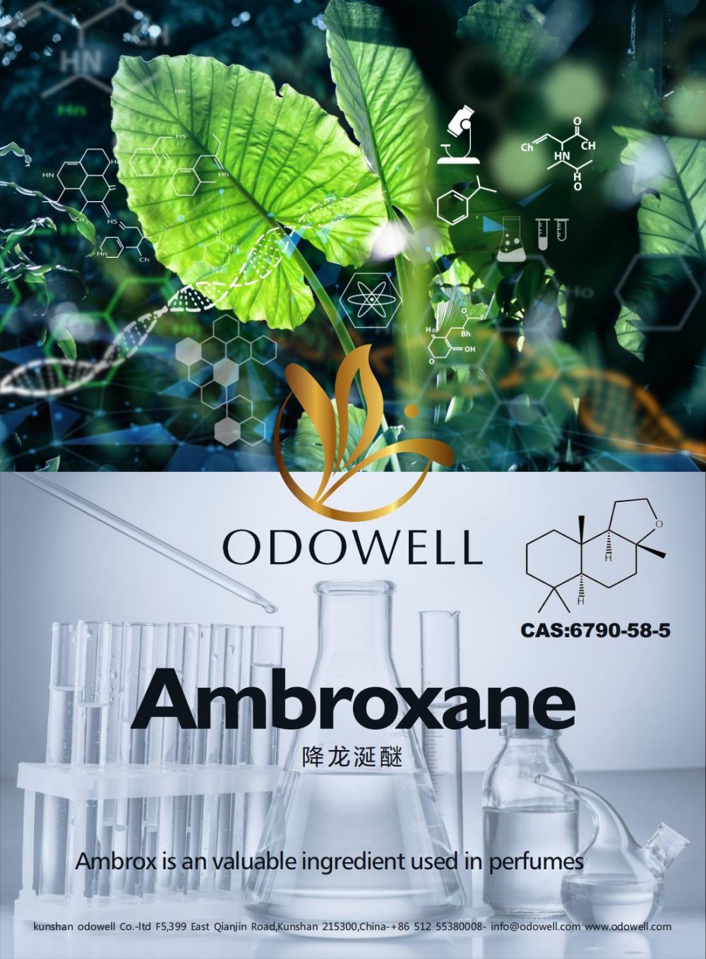 Odowell celebra un anno di successo per Ambroxane (Ambrox)