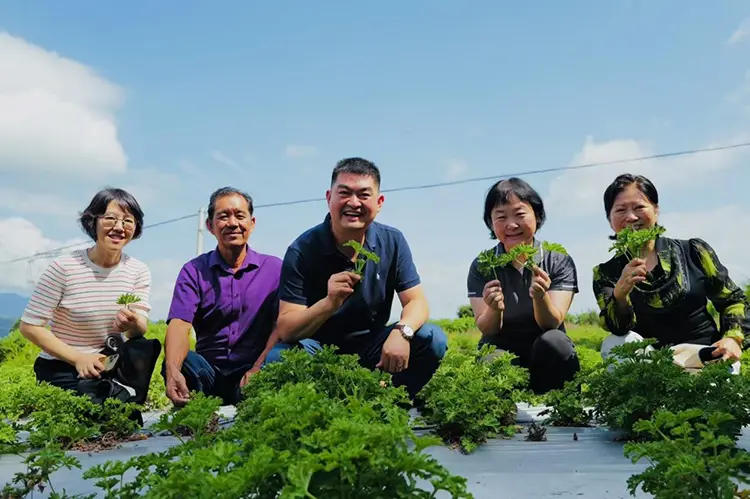 Tour di ricerca e studio yunnan di Odowell nell'agosto 2025