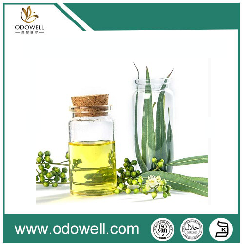 Presentazione del nostro olio di eucalipto premium (eucalipto globulus) —naturale, autentico e versatile