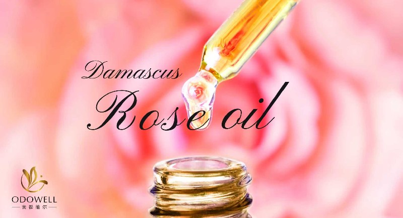 Odowell lancia l'olio naturale premium di rosa di Damasco
