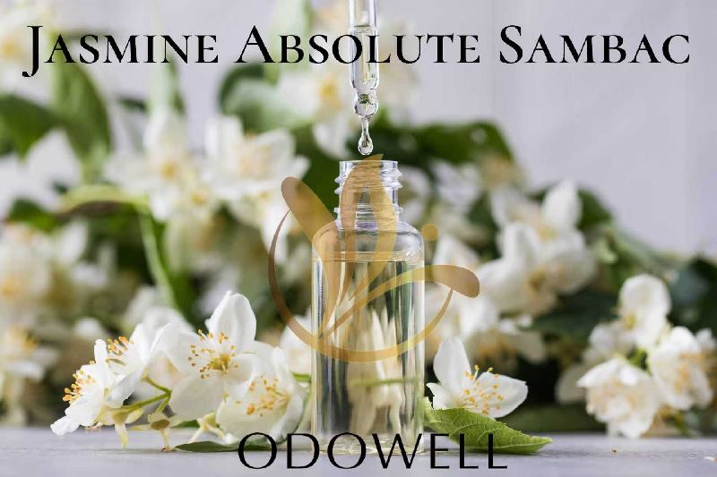 ​ODOWELL lancia Jasmine Absolute Sambac: un'assoluta di gelsomino naturale di prima qualità per profumi e bellezza