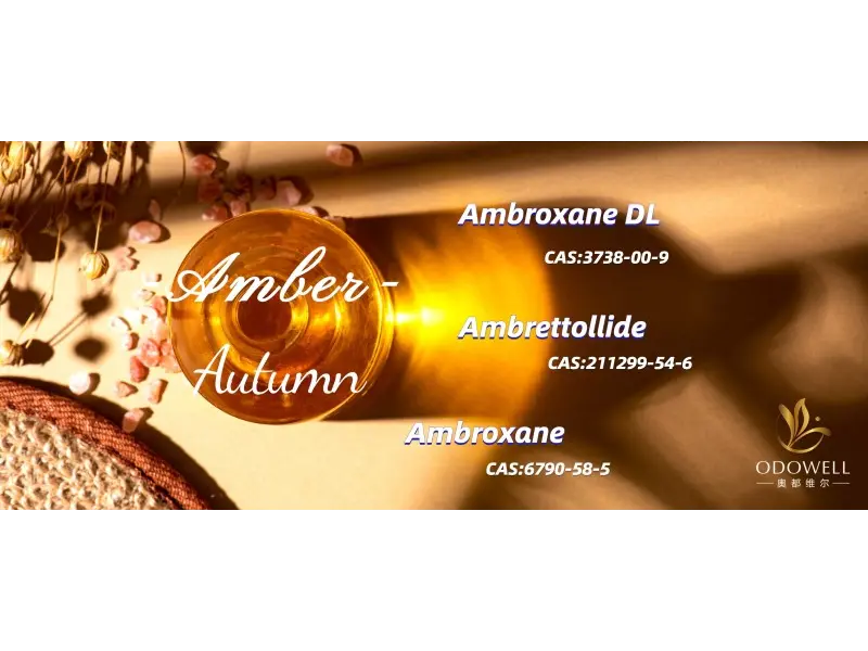 Quali sono i migliori profumi neutrali rispetto al genere per il 2025