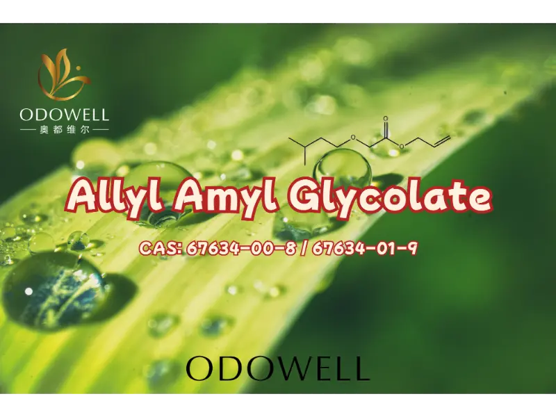 Allyl Amyl Glycolate – Estere fruttato ad alto impatto di ODOWELL per la creazione di fragranze moderne