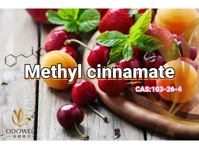 Methyl Cinnamate – Estere dolce e balsamico fruttato di ODOWELL per fragranze orientali