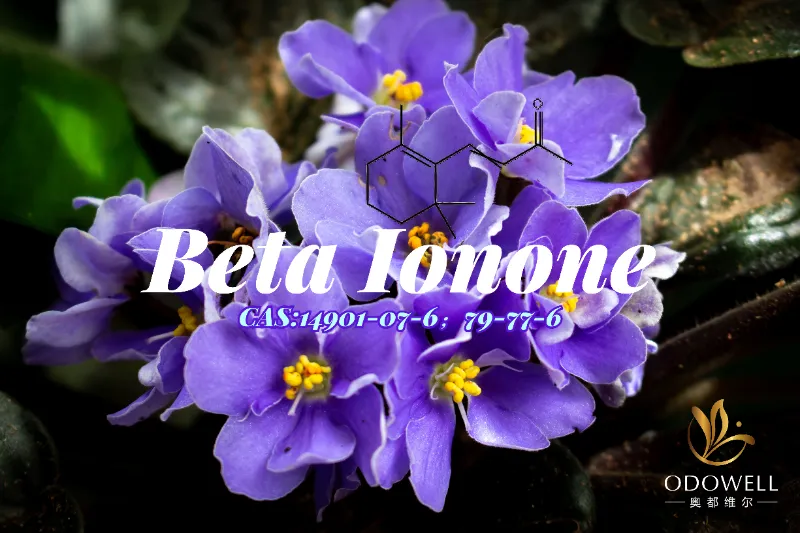 Beta Ionone – Il classico chetone viola-legnoso di ODOWELL per una profondità di fragranza raffinata