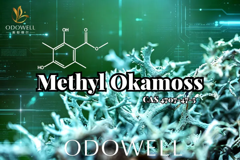 ​ODOWELL presenta Methyl Okamoss: autentico muschio di quercia sintetico per la maestria di Chypre e Fougère