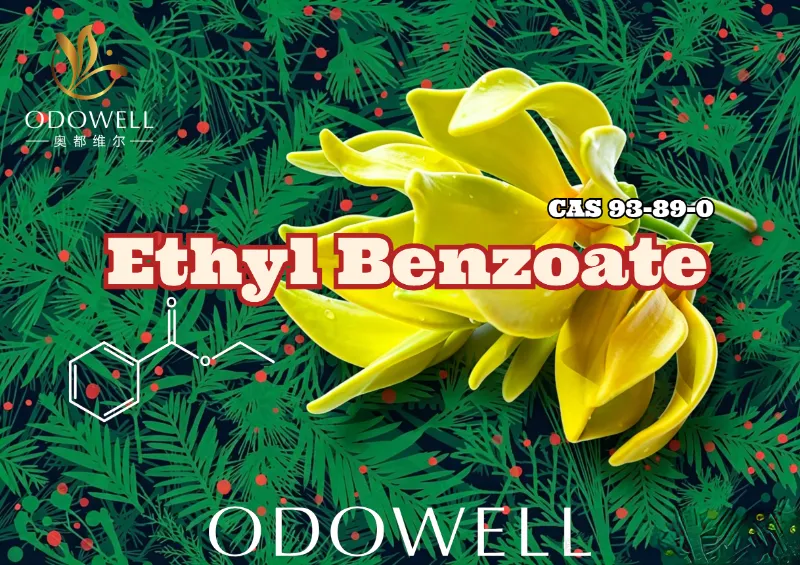 ODOWELL lancia l'etil benzoato: caldo estere di wintergreen-ylang per un'eleganza floreale e orientale