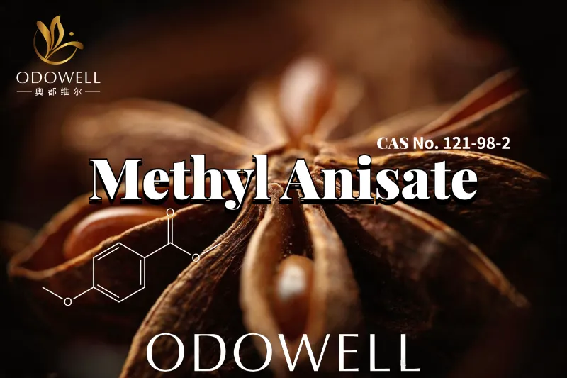 ​ODOWELL consiglia l'anisato di metile per applicazioni con fragranze anisiche dolci e simili alla vaniglia