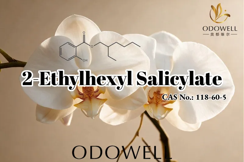 ODOWELL consiglia il 2-etilesil salicilato per applicazioni di profumi, cosmetici e cura personale