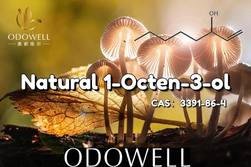 ​ODOWELL consiglia l'1-otten-3-olo naturale per applicazioni dal sapore simile ai funghi e alla terra