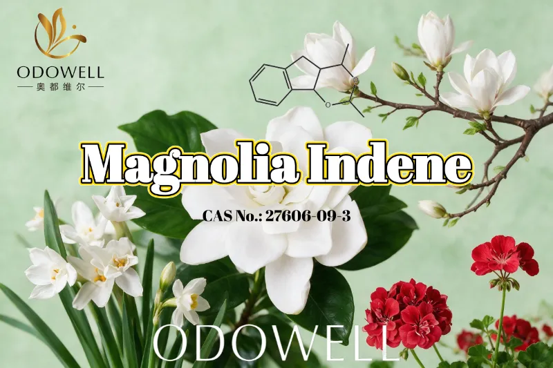 ODOWELL consiglia Magnolia Indene per applicazioni con fragranze fresche floreali-verdi e agrumate